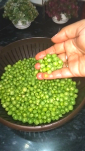 Fresh Green Peas Raw Matar for Matar Paratha Recipe