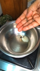 Adding cloves and green cardamom to hot ghee for Ramzan Sehri energy drink