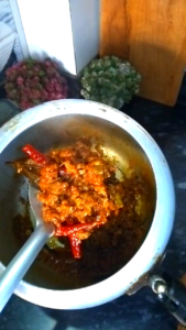 Showing keema stew with spoon