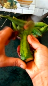 Peeling Fresh Ridge Gourd (Nenua) for Home Style Recipe
