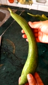 Fresh Ridge Gourd (Nenua) – How to Choose the Best Ridge Gourd